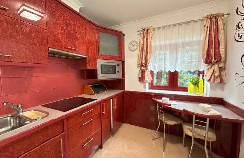 Apartamenty Pod Dzwonkiem - Foto 28