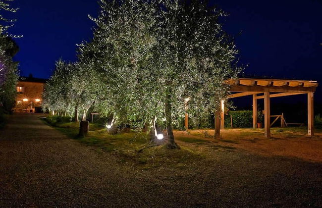 Podere San Quirico - Foto 34