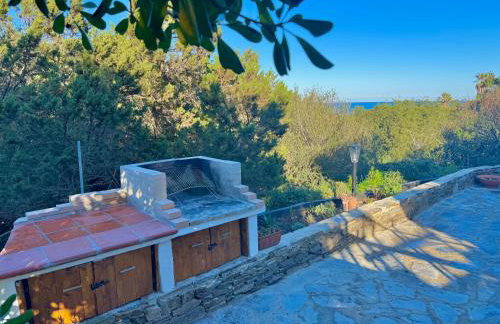 BuenaVista - Photo 5