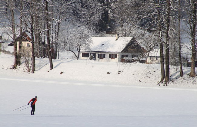 Mühlradl Apartments - Foto 62