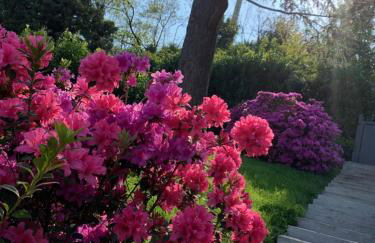 Giardini MAGNOLIA - Foto 11