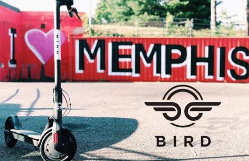 Cozy Delightful Private Studio near Rhodes College, Shuttle, & Vehicle Rental - Foto 40