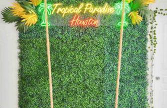 Tropical Paradise- 2Bedroom/2Bath/NRG/MedCenter/Galleria - Foto 28