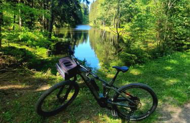 Ferienhaus Bringfriede - Foto 24