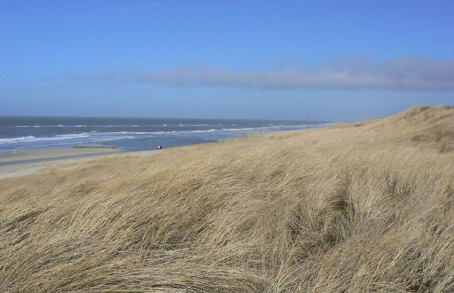 Long Comfortable Holiday Residence - Foto 23