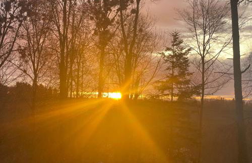 Ferienwohnung Jardin im Kunsthaus - Foto 64