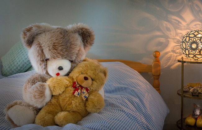 Villa in Ommen With Private Pond - Foto 46