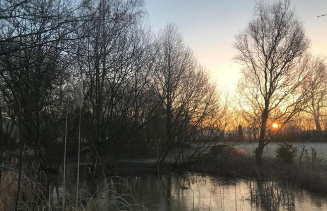 Chic Forest Lodge With Sauna - Photo 29