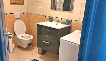 Spacieux et charmant appartement de 47 m2 - Foto 4, Shower