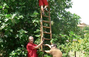 Casa Sant Angelo - Photo 70