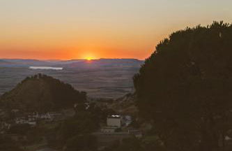 Miramonte Holiday - Photo 21