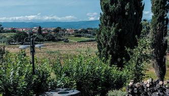 The Olive Grove in Tuscany - Foto 2, Garden