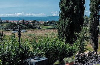 The Olive Grove in Tuscany - Foto 2