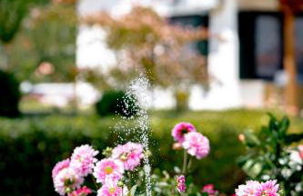 Casa Alegria - Photo 22