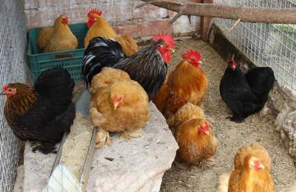 Apartamentos Paraje San Gines - Foto 44