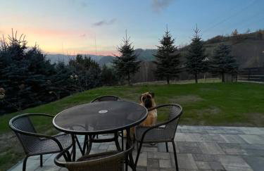 Mały Tiny Domek w górach z kominkiem , Piwniczna-Zdrój - Foto 37