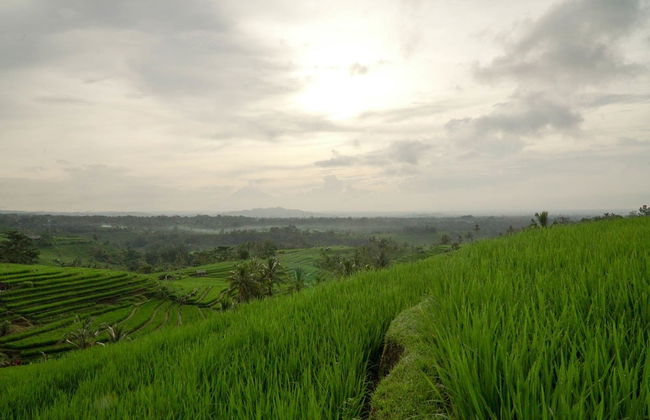 Dukuh Baturan Villa - Photo 16