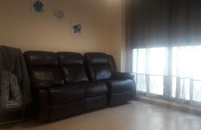 Plaza Mayor - Foto 28