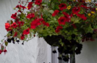 Keenaghan Cottage Belleek Fermanagh Northern Ireland - Foto 39