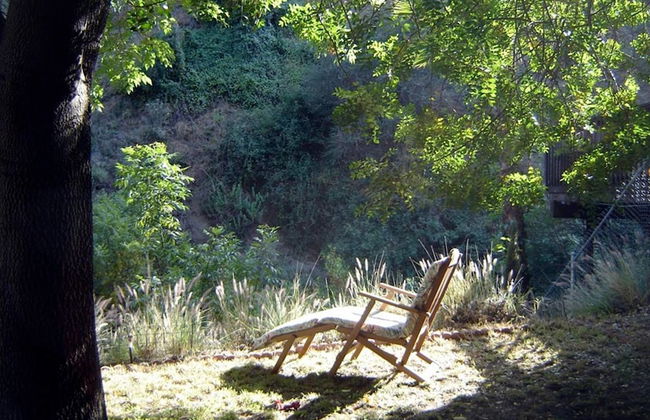 Hollywood Hills Canyon Breezes - Photo 25