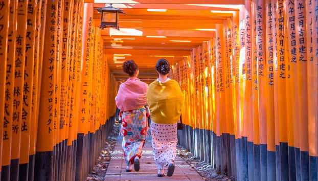 Tour completo por Kyoto com ingressos - Foto 5