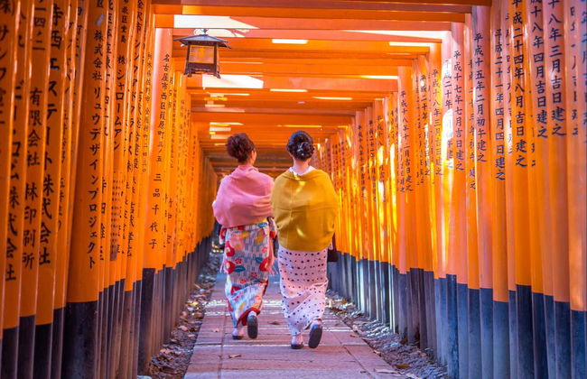 Tour completo por Kyoto com ingressos - Foto 5