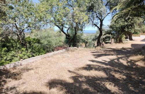 Villa del Palmeto - Foto 36