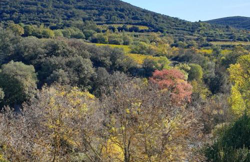 Cosy Apartment in Ancient Gabian with River and Vineyard Views - Foto 18