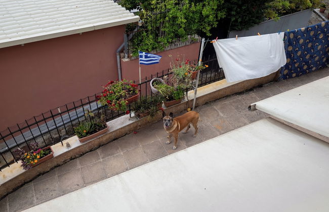 Aleka's House in Corfu Town - Photo 47