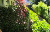 Luxury Apartments, self check in 24 h & Free Parking - Foto 19