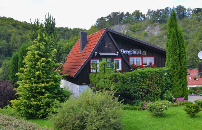 Quaint Holiday Home in Elbingerode near Forest - Foto 25