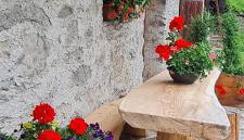 Mas del Mezdì - mountain chalet Val di Rabbi - Foto 5, Garden