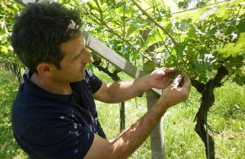 Residence La Colombera - Foto 26