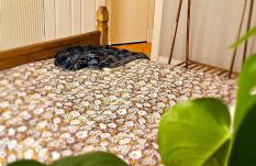 Home away from home - Foto 21