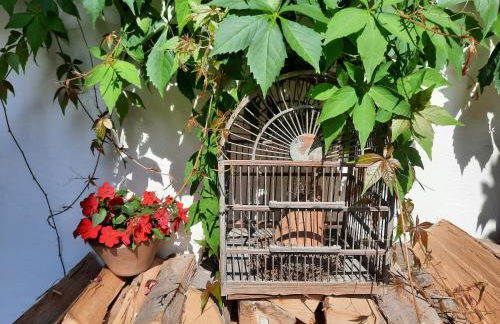 Fischer`s Postresidenzen Ettal - Foto 75