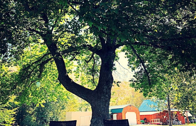 Hannon House - Photo 69