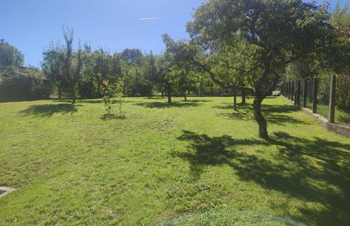 Ferienhaus Seifert - Foto 31