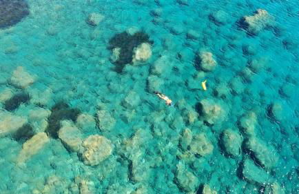 Harmony Family house - Foto 34