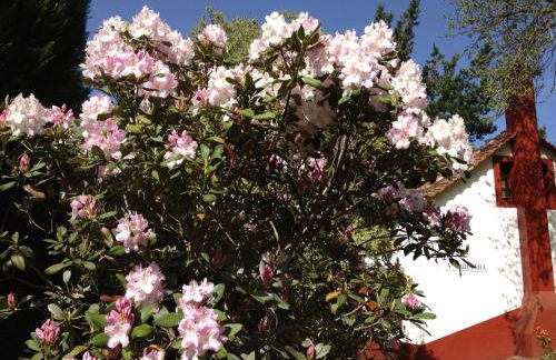 Valle Paraizo - Foto 71