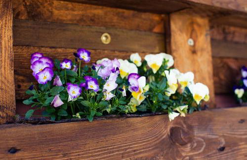 Pia Fewo Günzburg - Foto 8