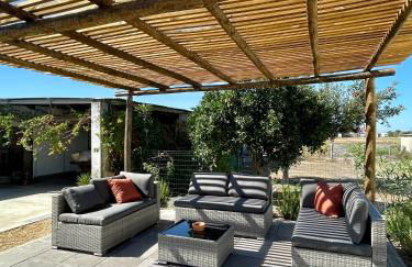 Andorinha Levante - Foto 9