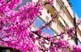 Rome Sweet Home - Foto 35