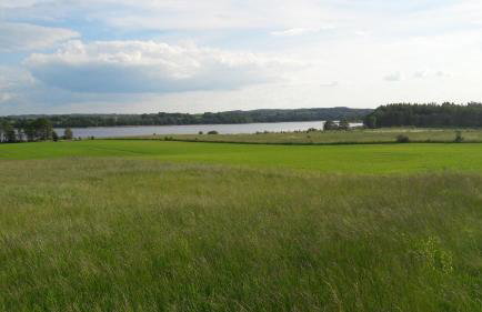 Blanki Siedlisko agroturystyczne Jestem - Foto 13