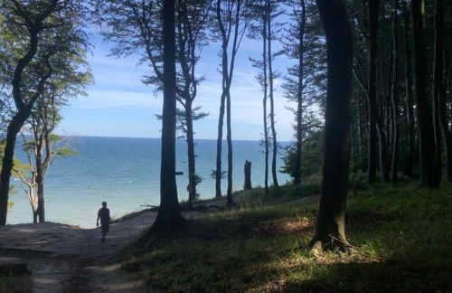 Ferienwohnung Boddenblick - Foto 19