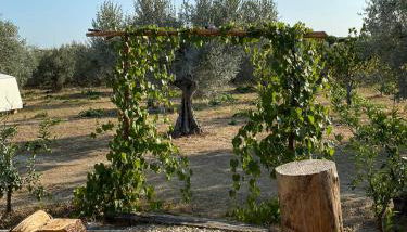 La Casa tra gli Ulivi - Cottage in legno - Foto 3, Garden view