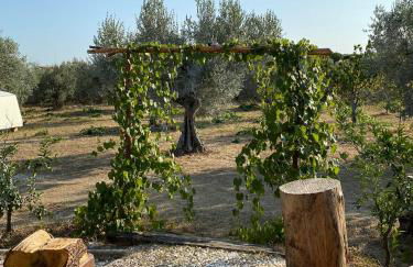 La Casa tra gli Ulivi - Cottage in legno - Foto 3