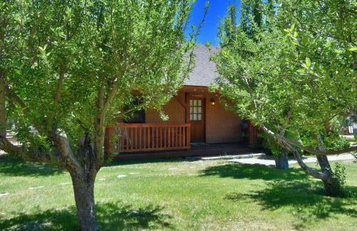 Arrowhead Country Cabins - Foto 63