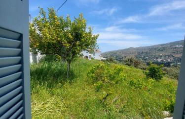 Palaiokrassa sunny appartment - Foto 2