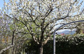 Lou pichoun studio au coeur d'un village provençal - Foto 35