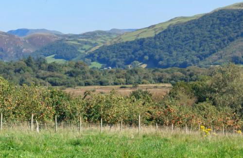 The Cosy Pad Glan Y Morfa Bach - Foto 19